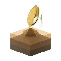 جوانه زنی بذر