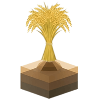 پس از برداشت