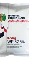 ایپرودیون کاربندازیم