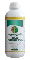 تری دمورف