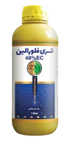 تری فلورالین بطری زرد