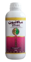 مالاتیون