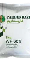 کاربندازیم