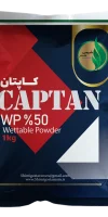 کاپتان